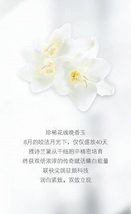 励志的句子经典语句高考合集47句