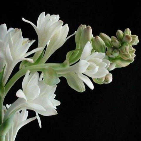 2021教师节写一句祝福语(精选110句)
