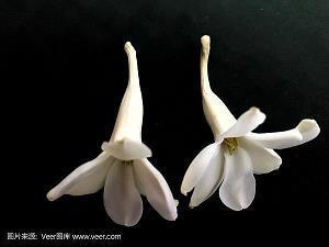 6月鼓励朋友的文案句子(精选35句)