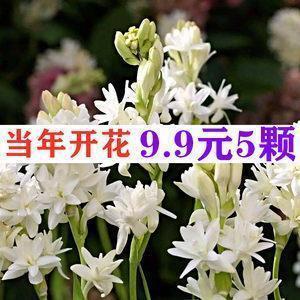 2021妇女节怎么发朋友圈文案