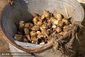 关于汽车的广告文案(精选26句)