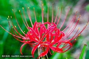 让人奋发向上激励前进的句子(精选24句)