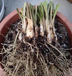 励志的句子大全经典语句大全？关于励志一句话句子锦集14句