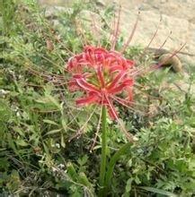 陪伴孩子成长的话语