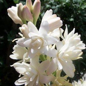 升学宴祝福语简短话语 恭祝高考升学宴祝福语