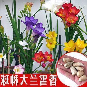 中午问候语简短最美的句子精选50句