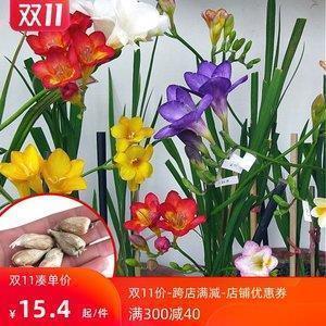 2021情人节适合发朋友圈的文案