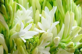 再见2021你好2022朋友圈情感句子(精选91句)