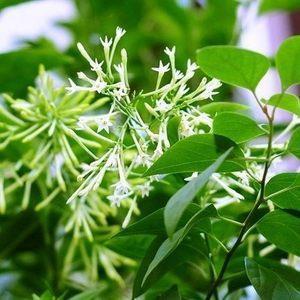 儿子学武术怎么发朋友圈 孩子练跆拳道发朋友圈说说集锦19句