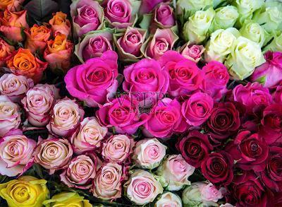 关于时间的伤感文案(精选77句)