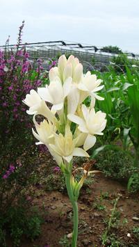 天气冷的朋友圈暖心句子精选(精选79句)