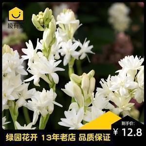 心灵鸡汤经典语录励志 那些说到心坎的文字