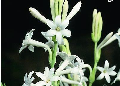 万圣夜心情说说文案(精选91句)