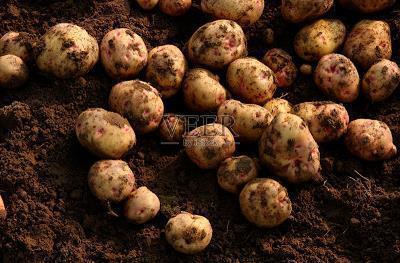 2021元宵节祝福语简短创意语录文案