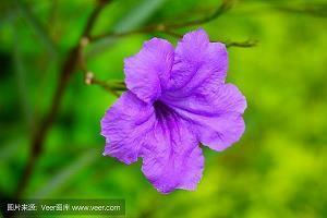 企业励志正能量的语录短句子 企业管理励志语录