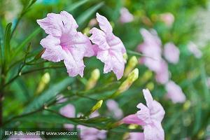 八月再见九月你好文案句子大全(精选104句)