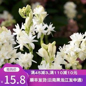 对追喜欢的女人失望的句子