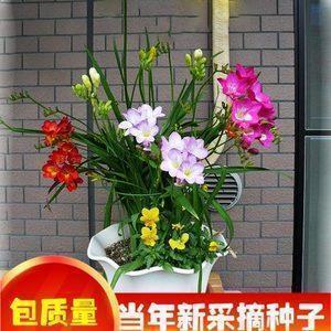 写人开心神情的句子 形容人神情的句子