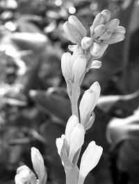 冬天的优美句子摘抄短句 冬天治愈系短句(精选63句)