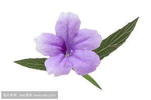 对喜欢的人很失望的句子