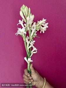 媒体广告语荟萃