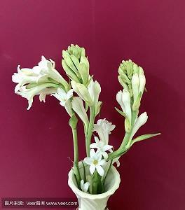 句句催人泪下的伤感句子 一个人其实也挺好