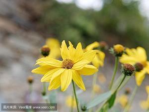 一段很现实的话适合发朋友圈致自己(精选60句)