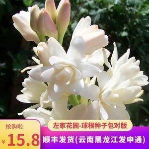 古人关于抒发爱国情怀的古诗词句