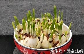 朋友圈文艺小清新文案 精致女孩的说说锦集27句
