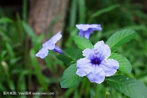 【热门】教师节祝福语简短优美句子寄语推荐95句