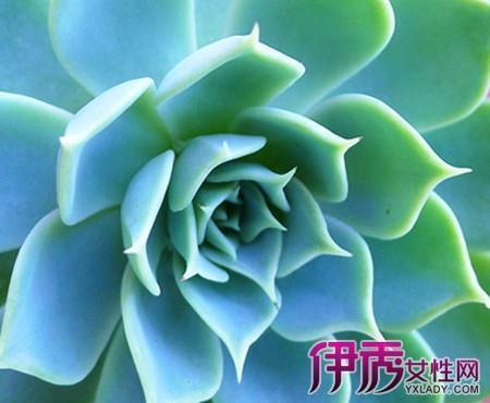 晚上的说说 适合晚上发的心情说说(精选18句)