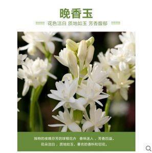 努力变优秀的句子致自己