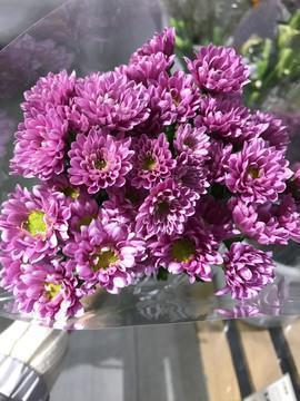 感恩的唯美句子54句