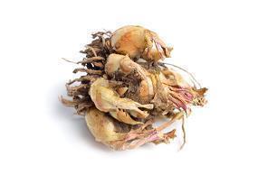 形容一个人对婆家失望的句子