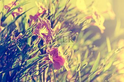 形容天空治愈心情的句子 天空意境的唯美句子(精选51句)