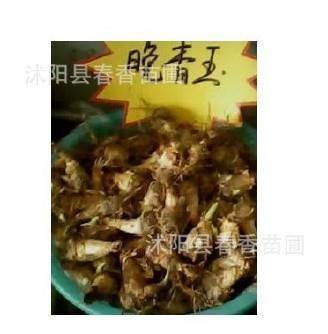 净化心灵的句子正能量合集45句