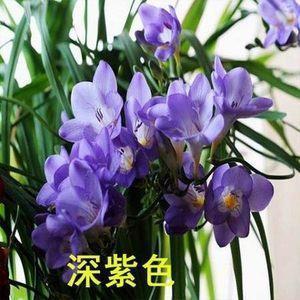 关于爱国之情的诗句