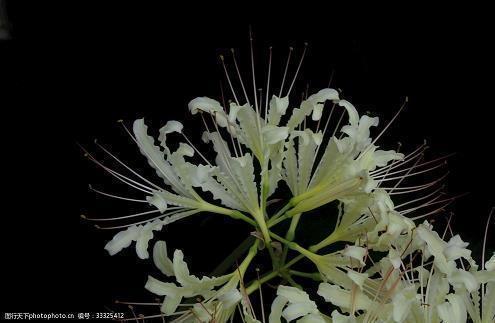 最美好的年华优美句子 关于年华的唯美句子精选35句