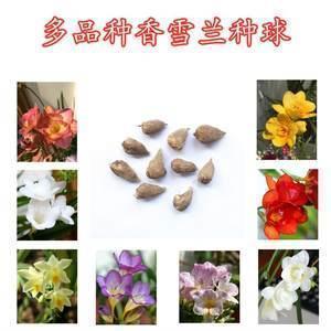 对生活工作失望的句子说说心情