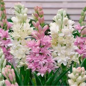 人与人之间关系变淡的句子