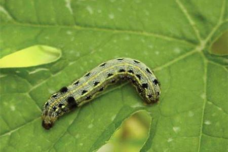 记录开心的句子