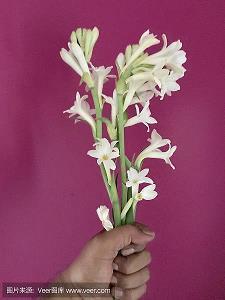 唯美抒情散文句子