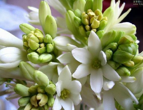 形容有苦说不出的句子推荐35句