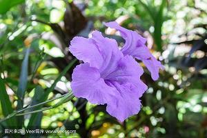 2022五一劳动节正能量句子(精选89句)