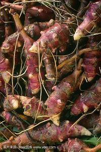 2021致自己的唯美句子56句