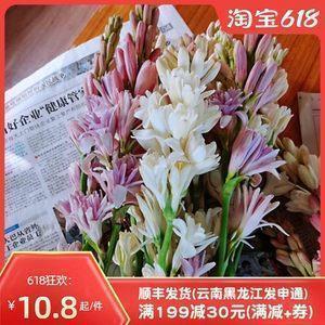 2021十一月你好发朋友圈唯美说说句子大全(精选89句)