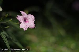 微信失恋伤感说说89句