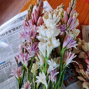 写给心烦心累心痛的自己说说30句