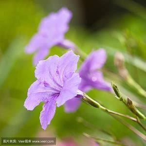 唯美复古的句子