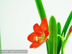 2021五四青年节空间句子文案精选118句